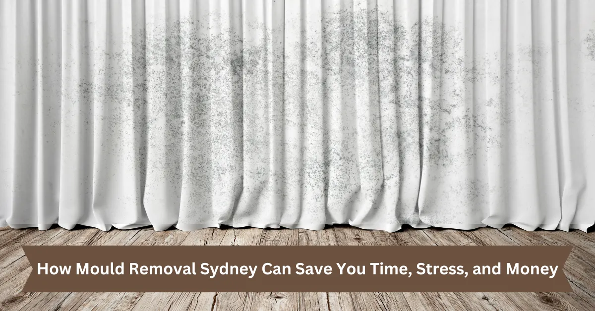 Curtain Mould Removal Sydney